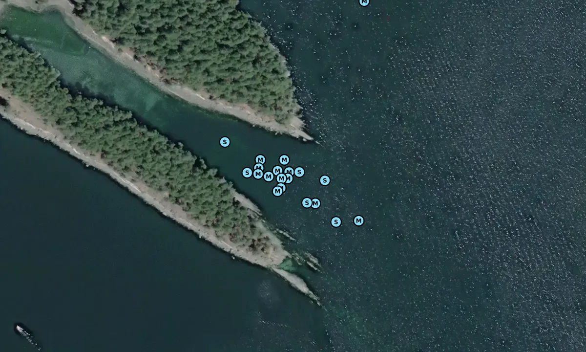 Satelite image of Sunrise Cove - Wallace Island