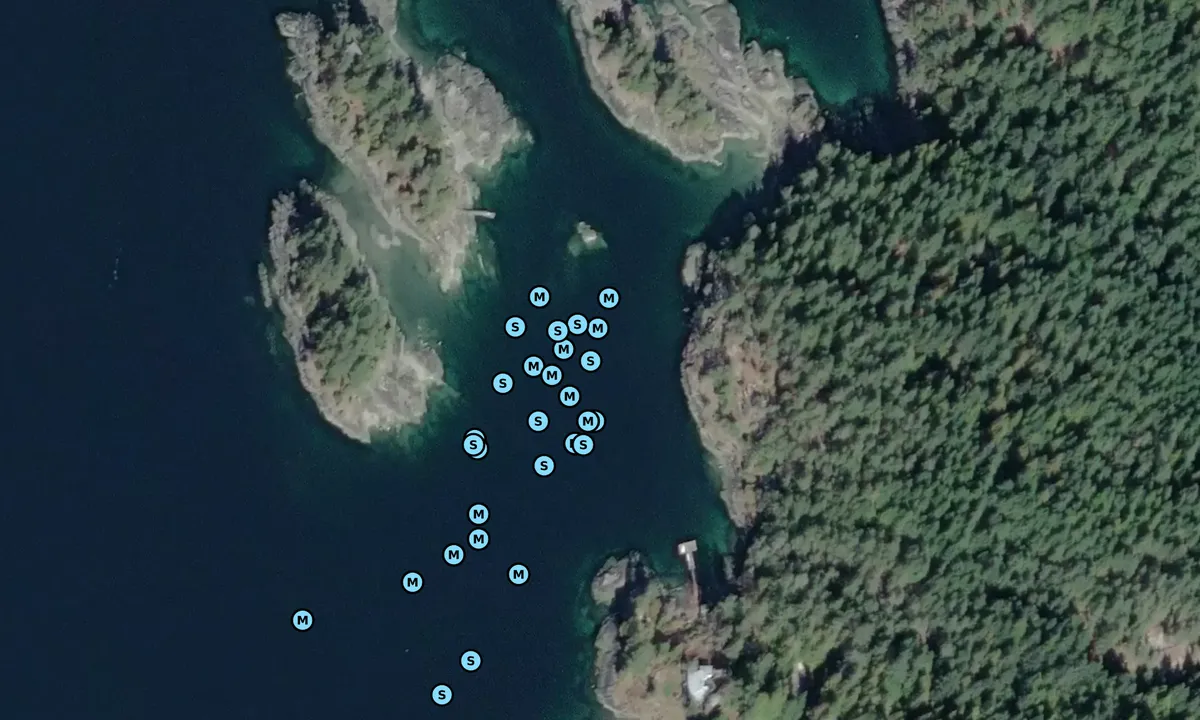 Satelite image of Surrey Islands