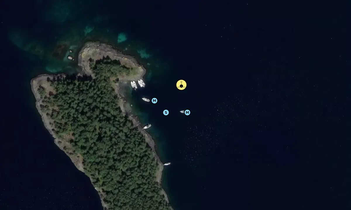 Satelite image of Svansholmen - Randøy Hjelmeland