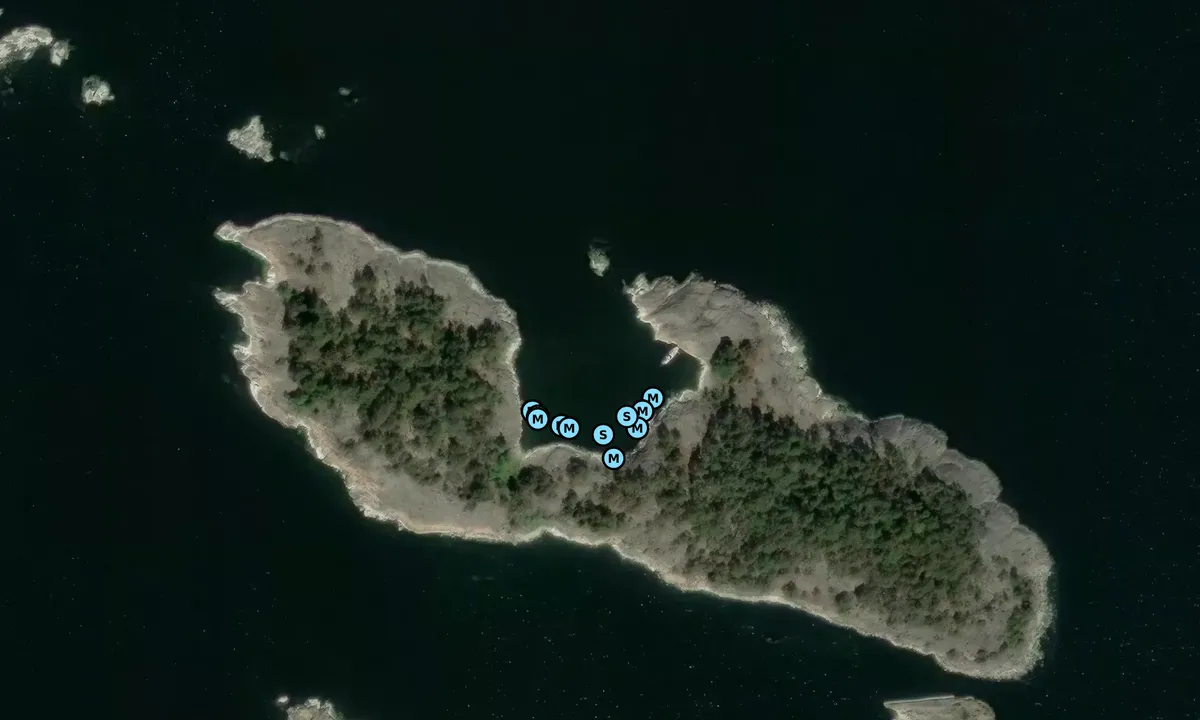 Satelite image of Svartskogsskär