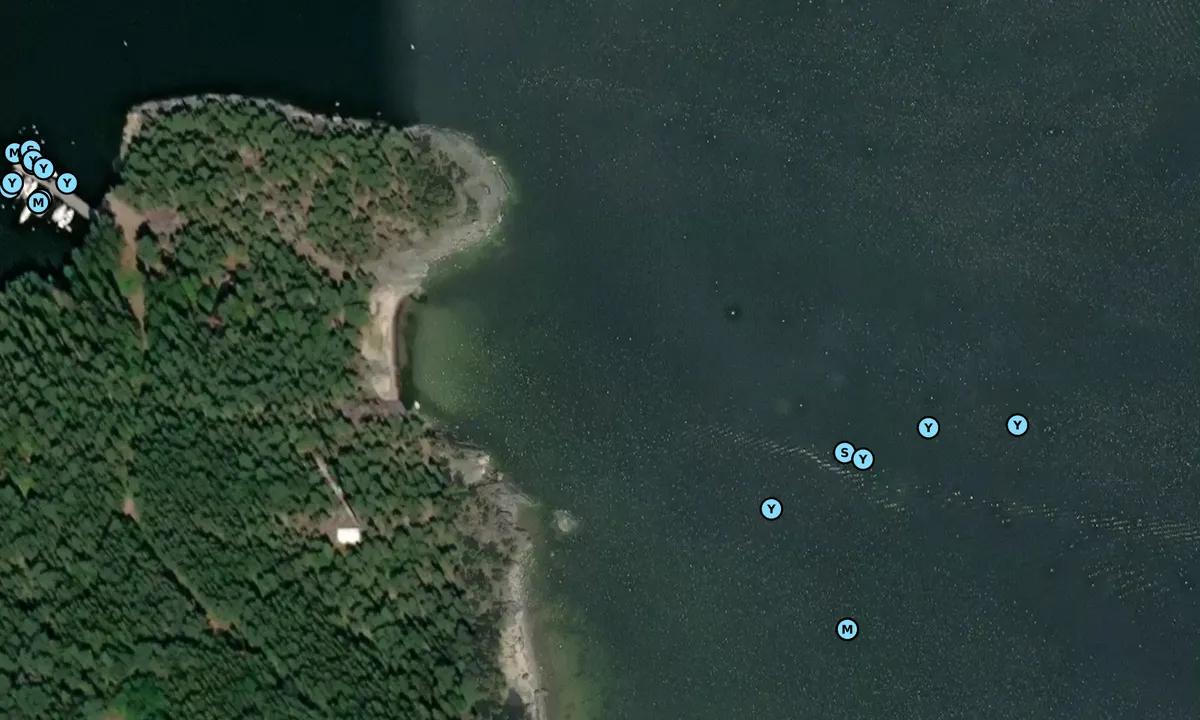 Satelite image of Svartviken