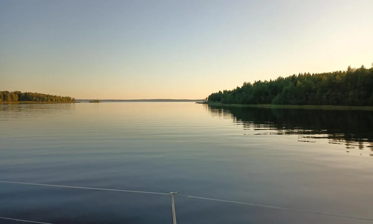 Svedjeviken