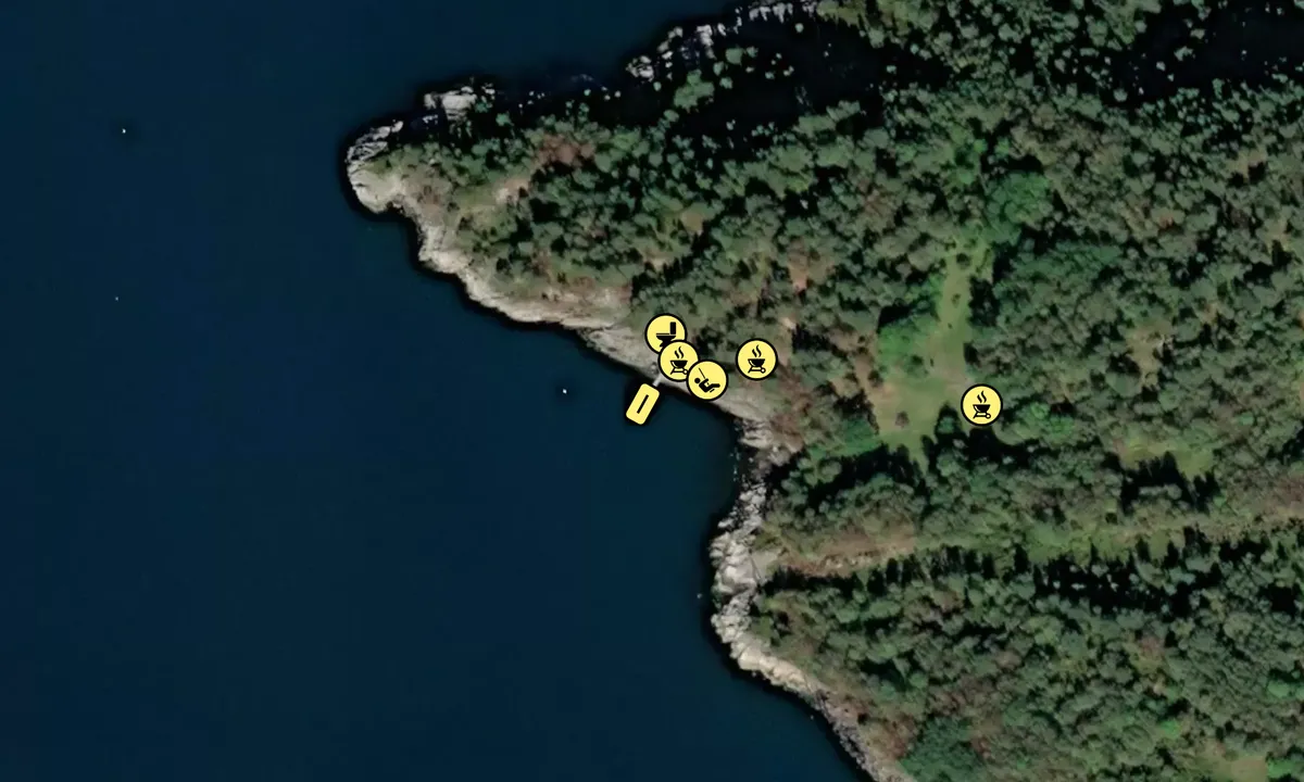 Satelite image of Svinøya friluftsområde - vest