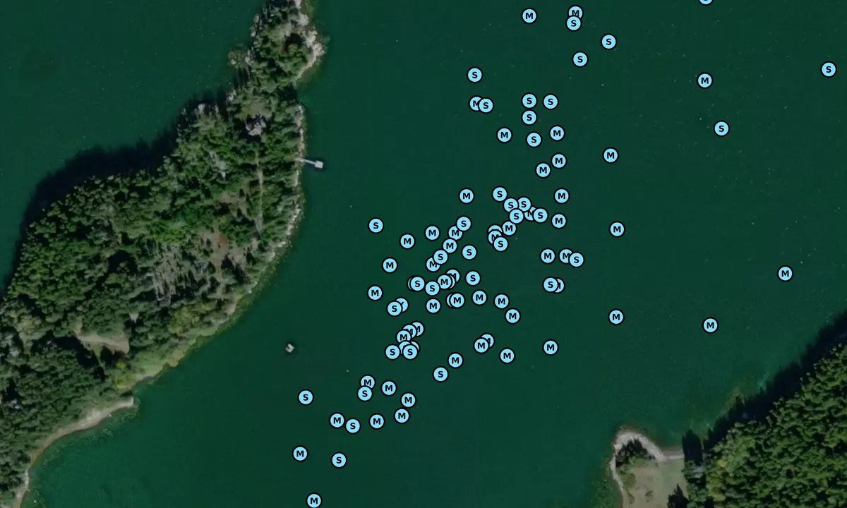 Satelite image of Swans island