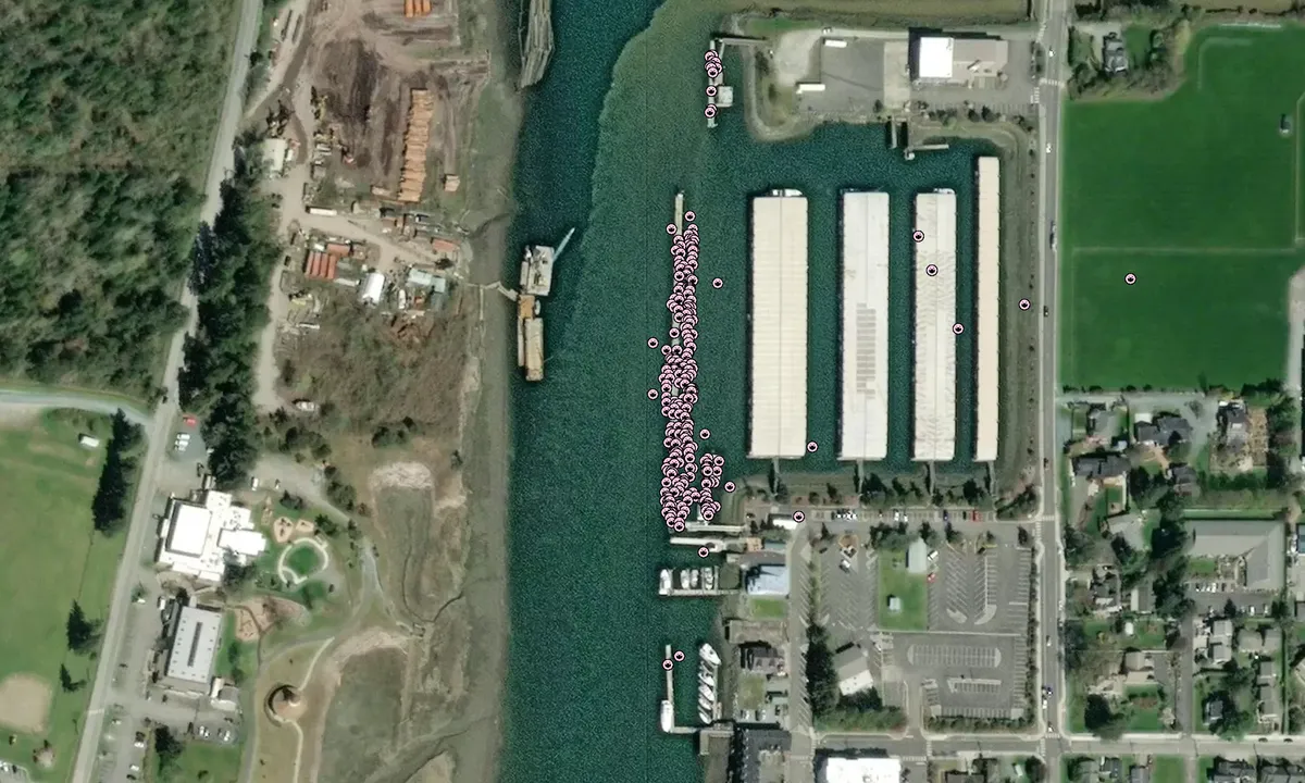 Flyfoto av Swinomish Yacht Club