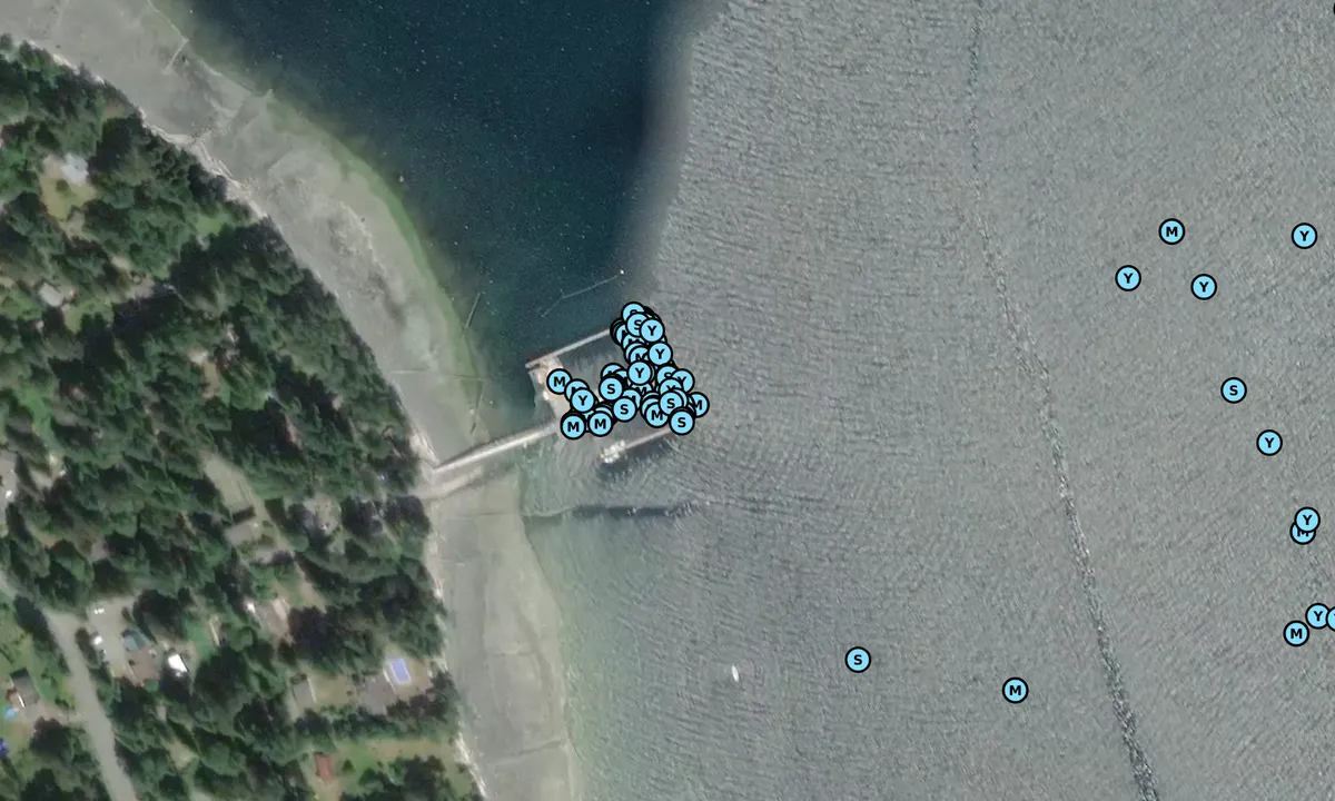 Satelite image of Taku Resort and Marina