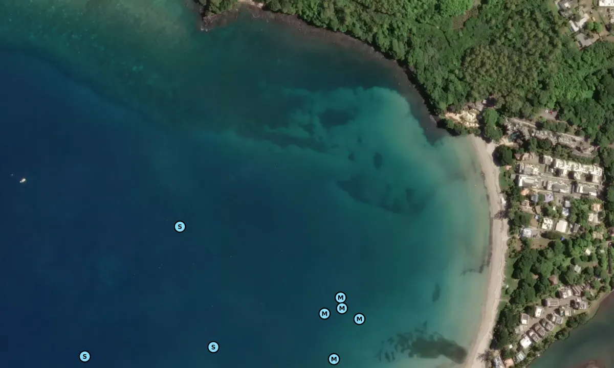 Satelite image of Tamarin Bay