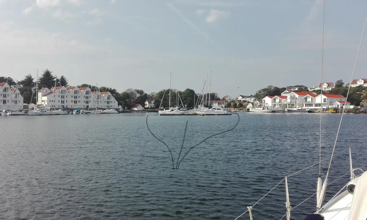 Tananger Båtforening Gjestehavn: Gjestehavnen. Båser benyttes når de faste båtene er på reise (merket grønt innerst i båsen).