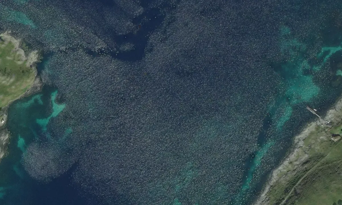 Satelite image of Tansøysundet