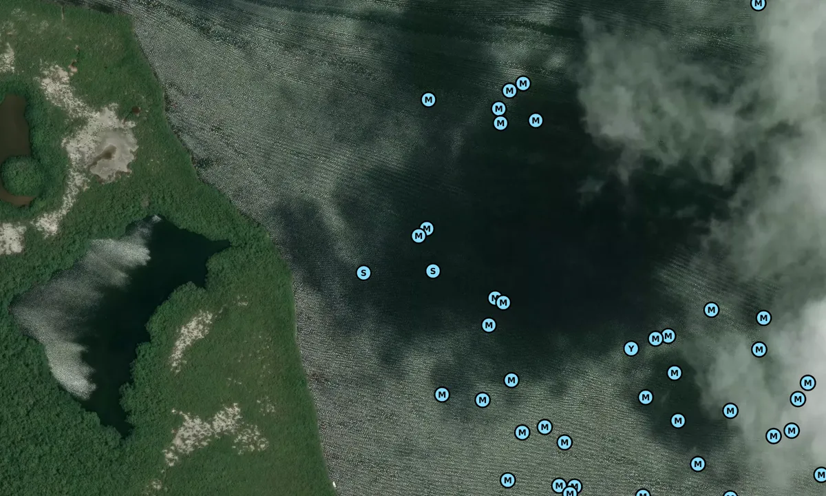 Satelite image of Tarpon Basin (west)