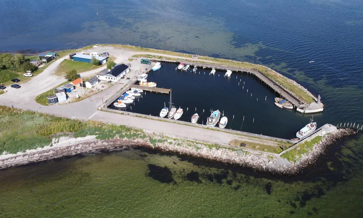 Tårs Fiskeri- og Lystbådehavn