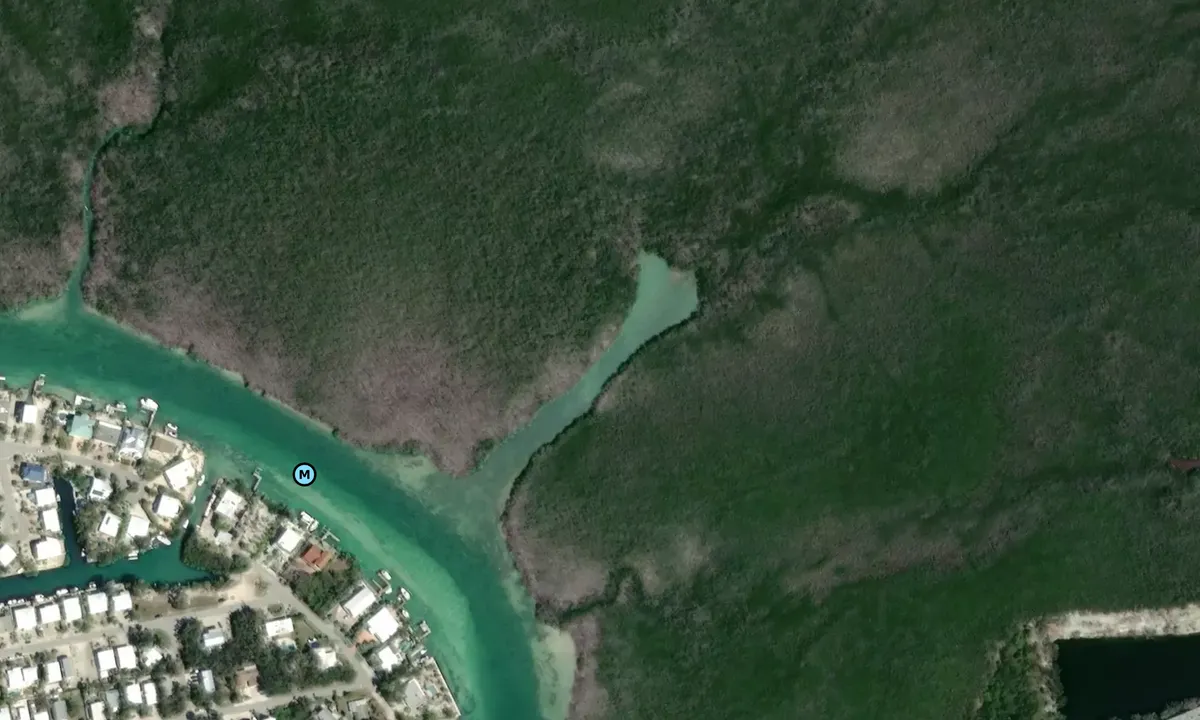 Satelite image of Tavernier Creek