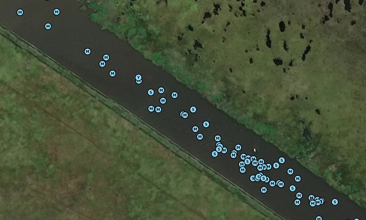 Satelite image of Taylor Outfall Bayou