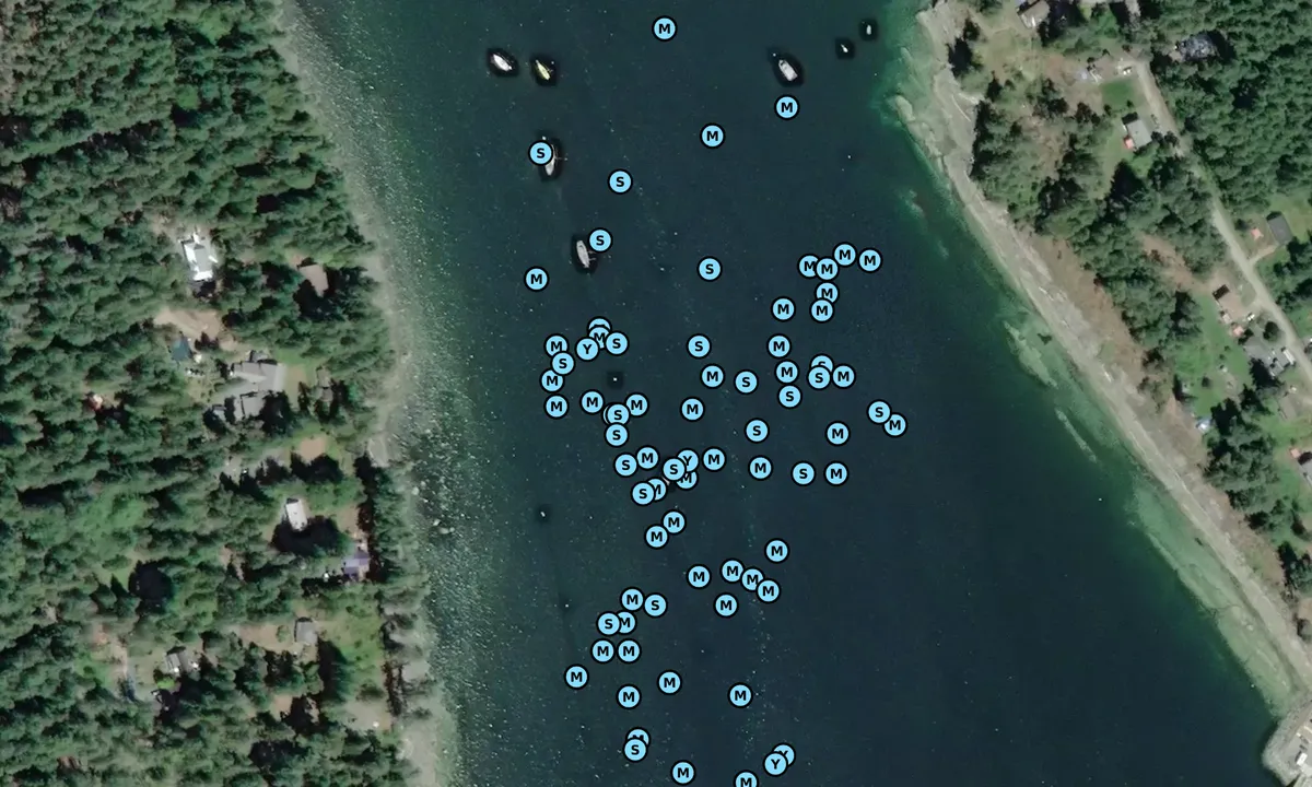 Satelite image of Telegraph Harbour