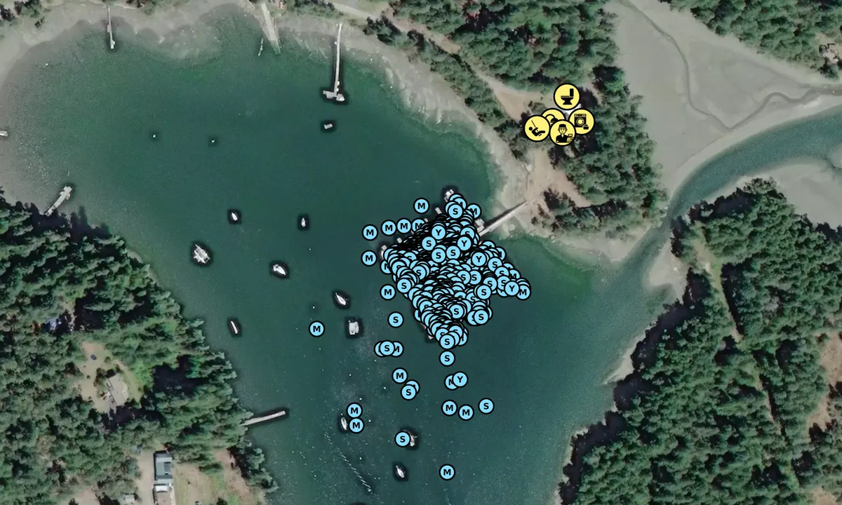 Satelite image of Telegraph Harbour Marina