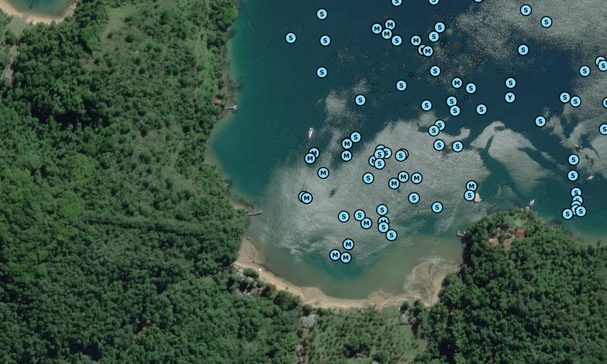 Satelite image of Telma's Restaurant