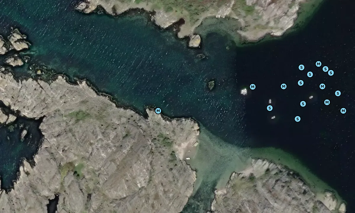 Satelite image of Tenholmar Nord