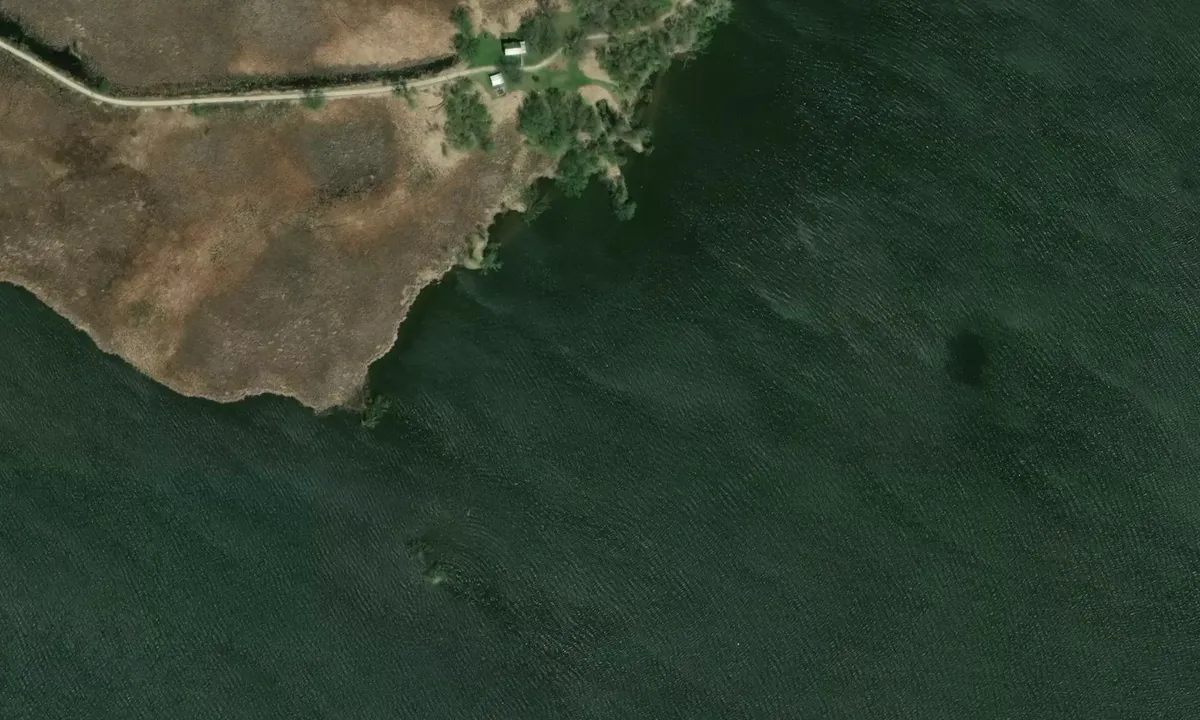 Satelite image of Terrell Island Sand Bar