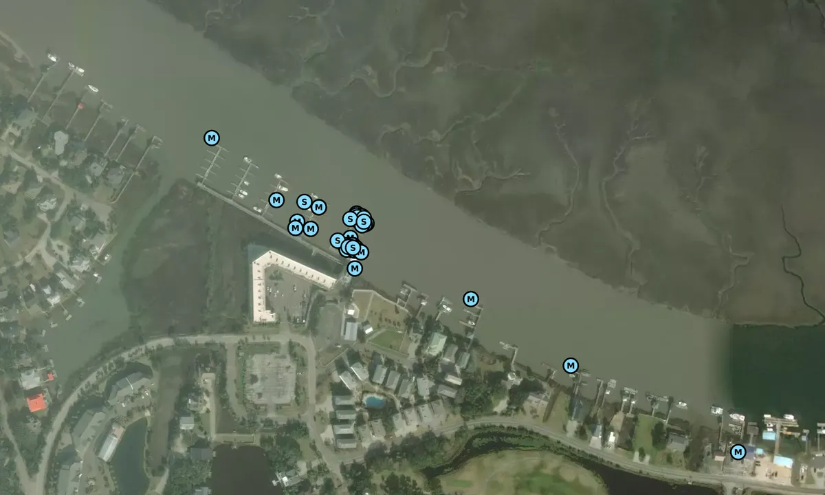 Satelite image of The Marina at Edisto Beach