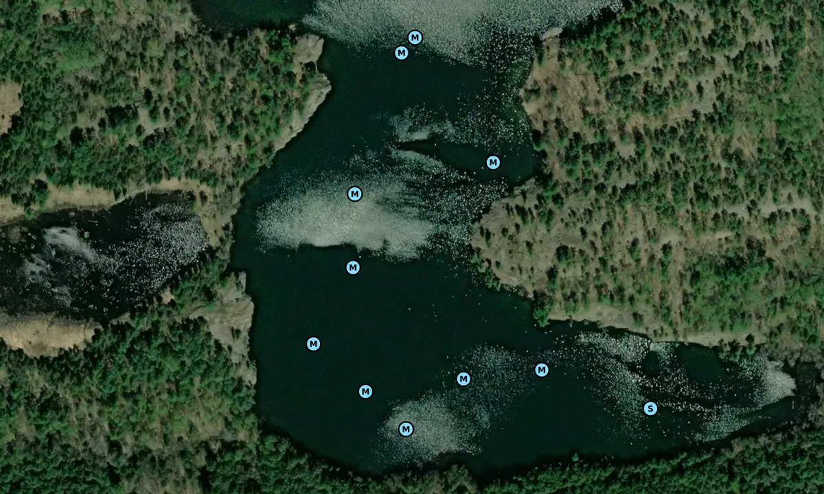 Satelite image of The Pool