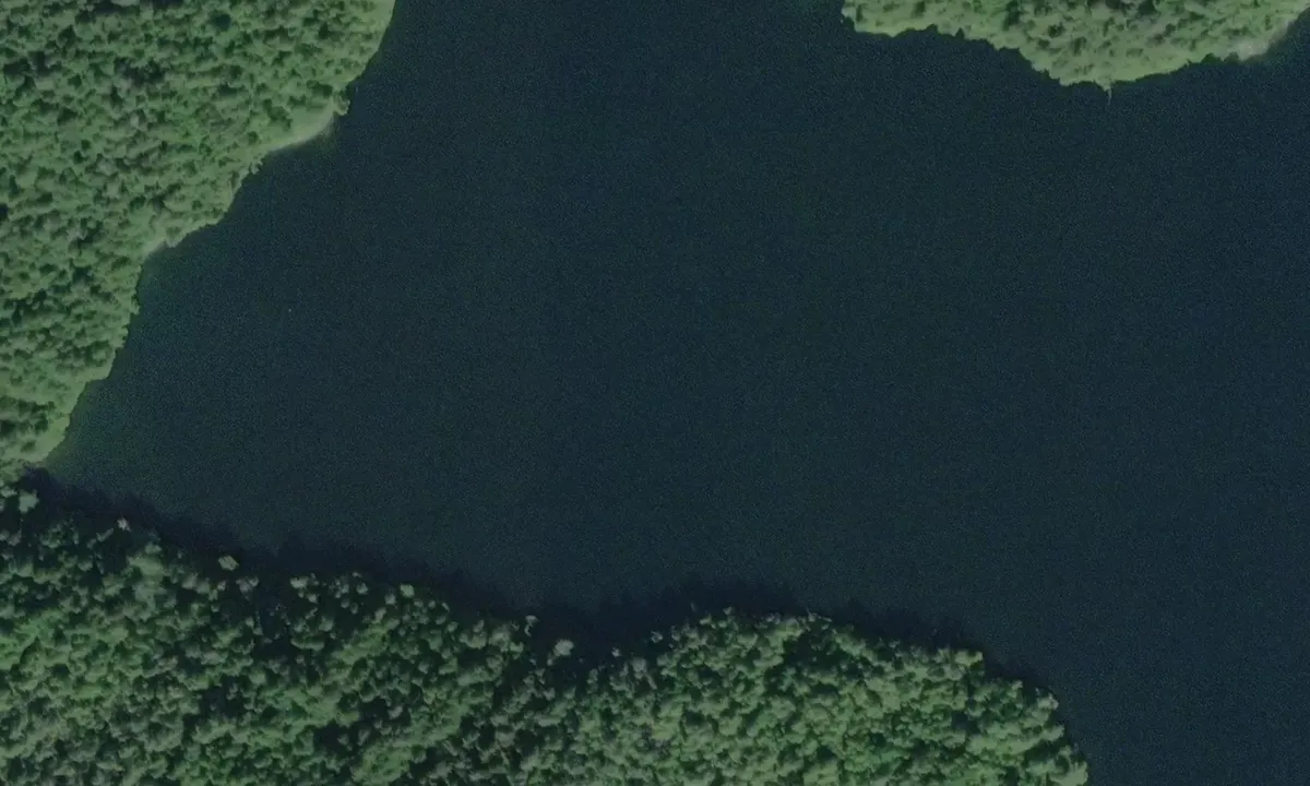 Satelite image of Thief Island