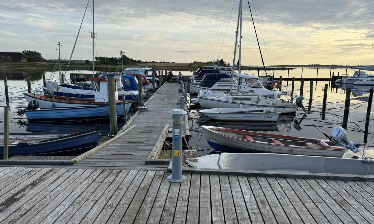 Thissinghus harbour
