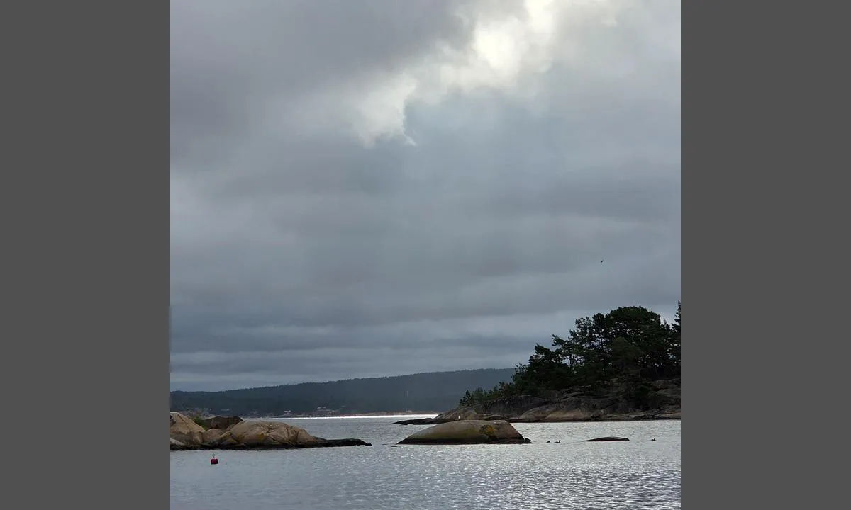 Thøgersen 
