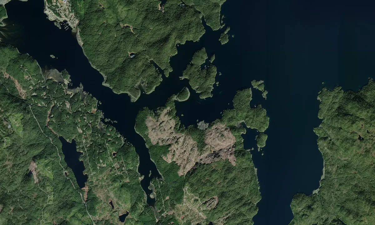 Flyfoto av Thorne Bay