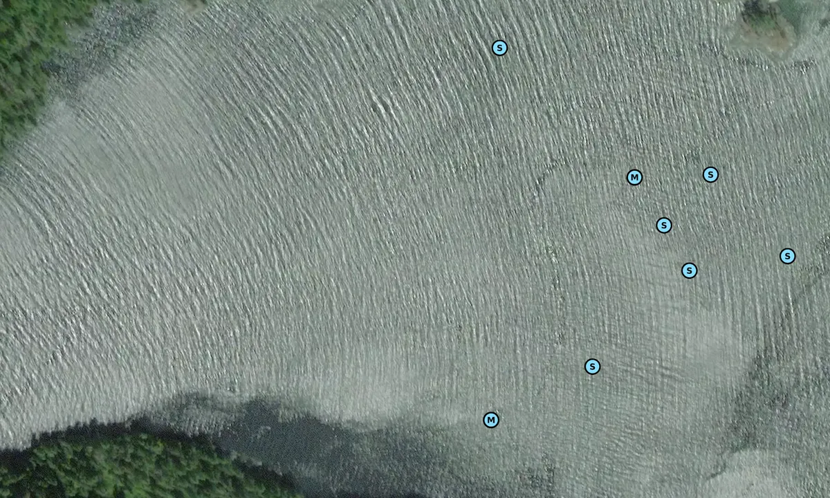 Satelite image of Thurston Bay