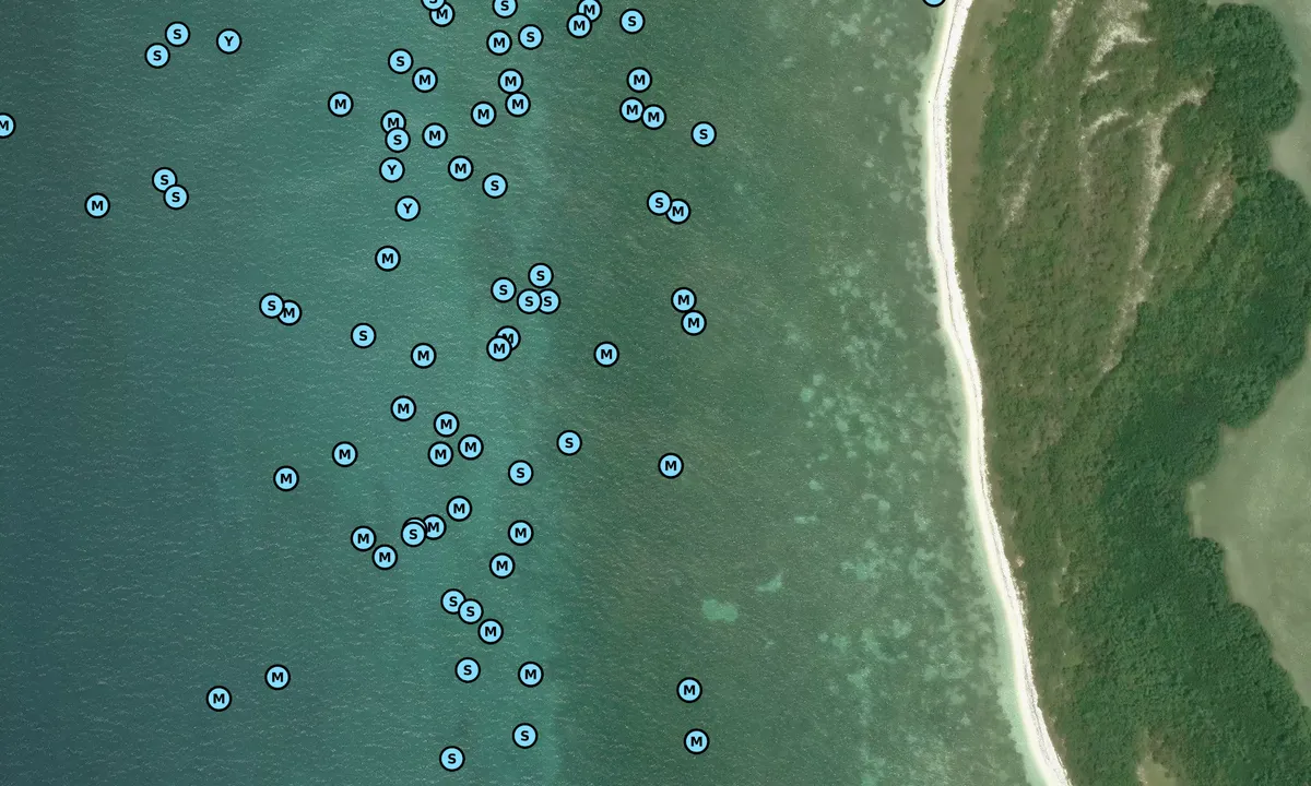 Satelite image of Tin Tin Key