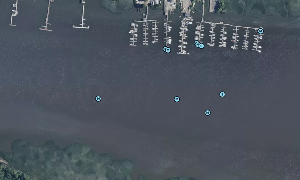 Satelite image of Tinicum Island