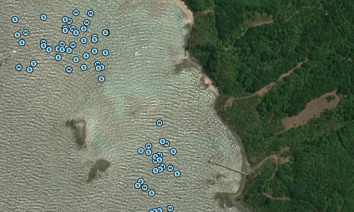 Satelite image of Tiritiri Martangi Island