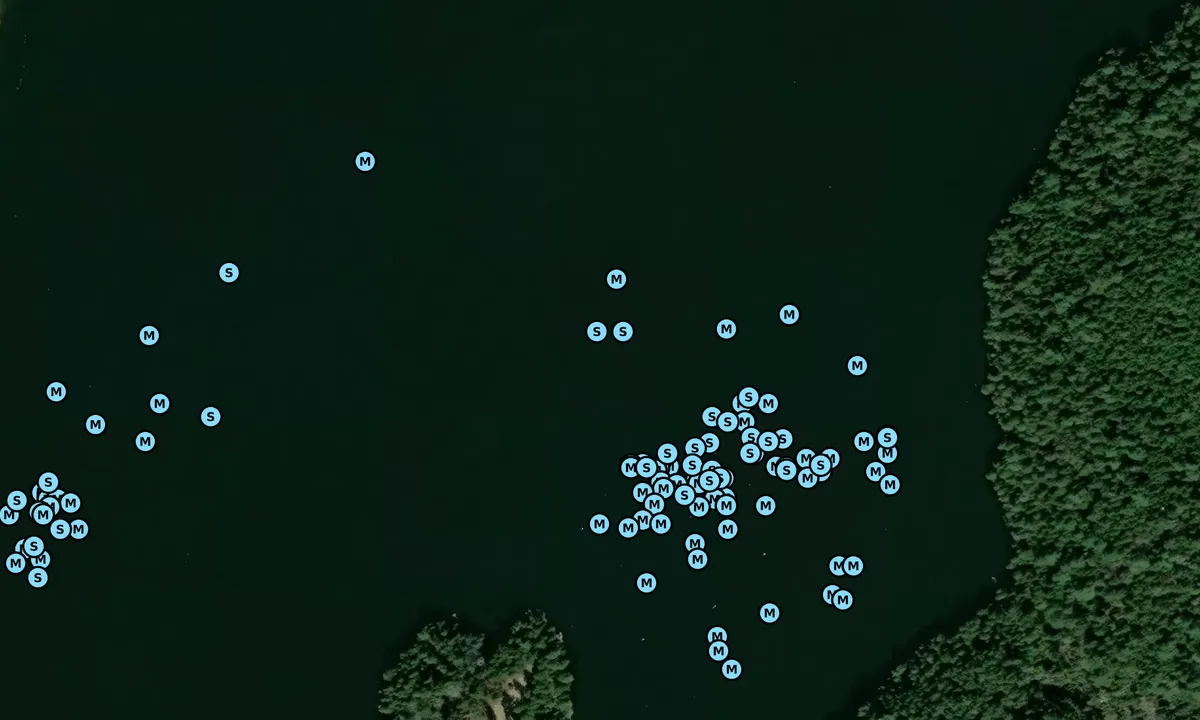 Satelite image of Tom Cod Cove