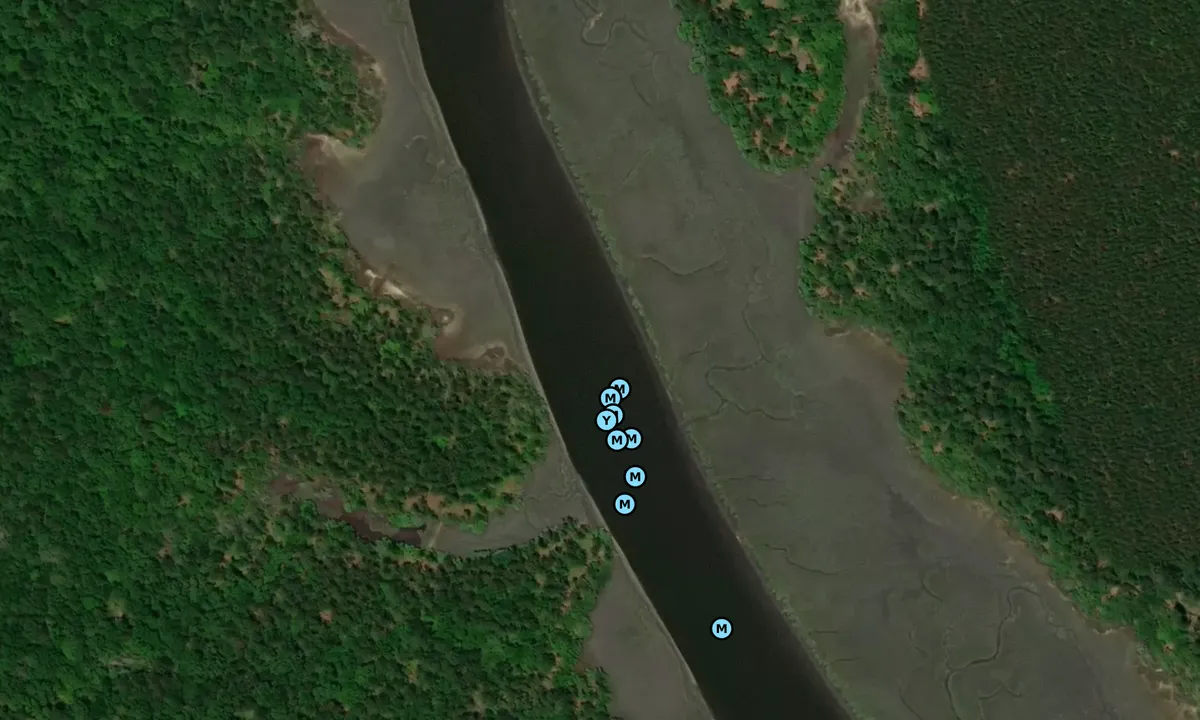 Satelite image of Tom Point Creek - 1