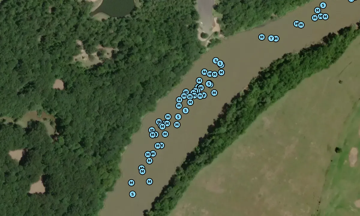 Satelite image of Tombigbee Ox Bow