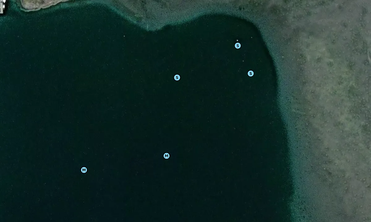 Satelite image of Tomsvika