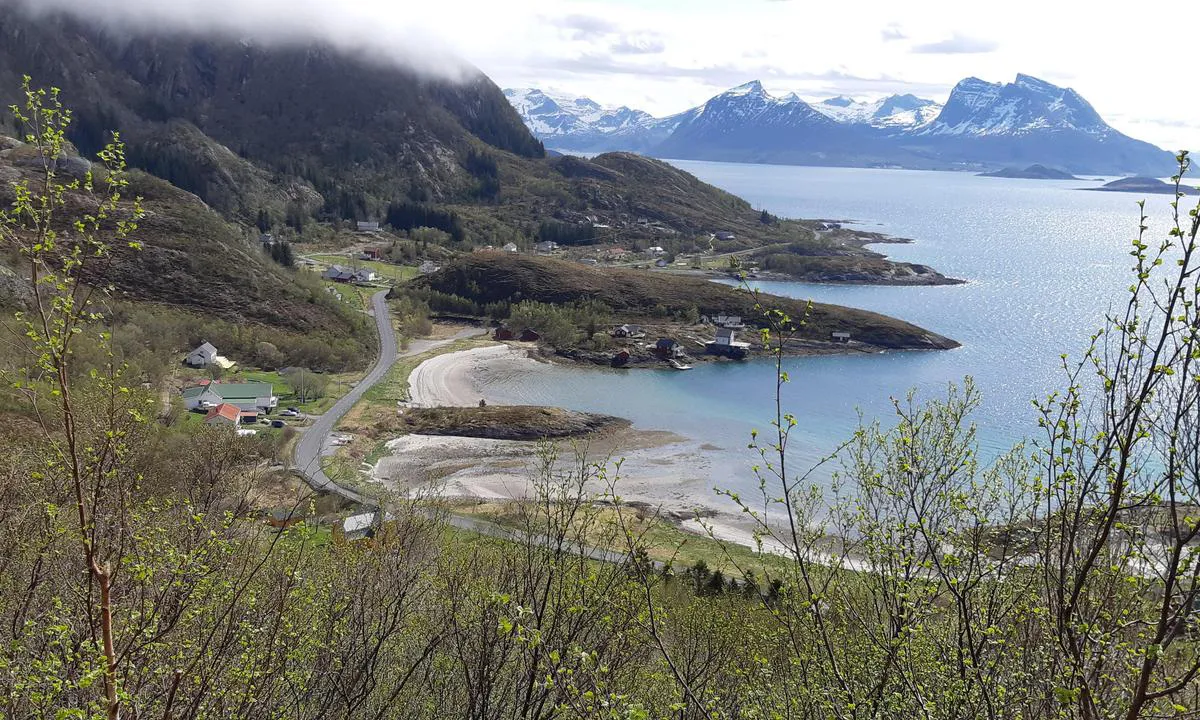 Tonnes Havn: Badestrand like sør for båthavnen.