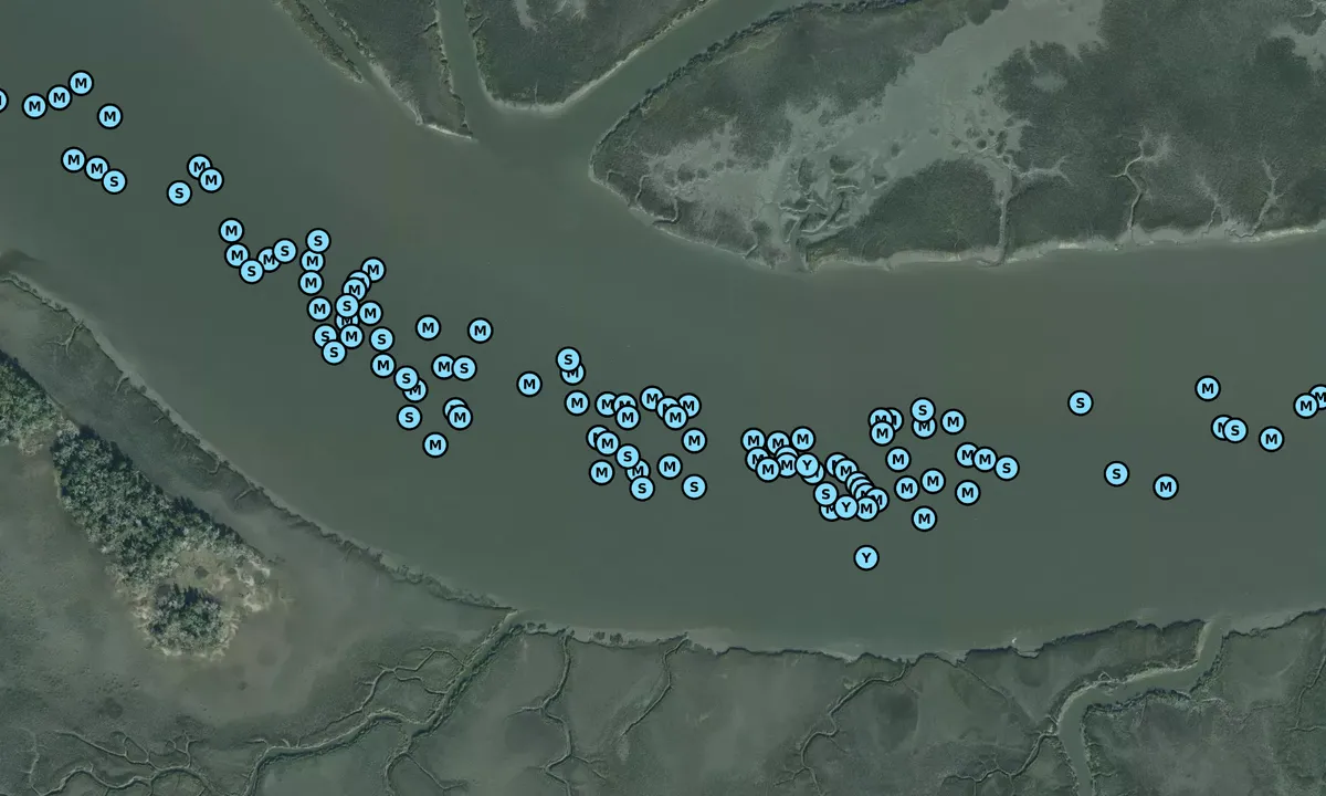 Satelite image of Toogoodoo Marshes