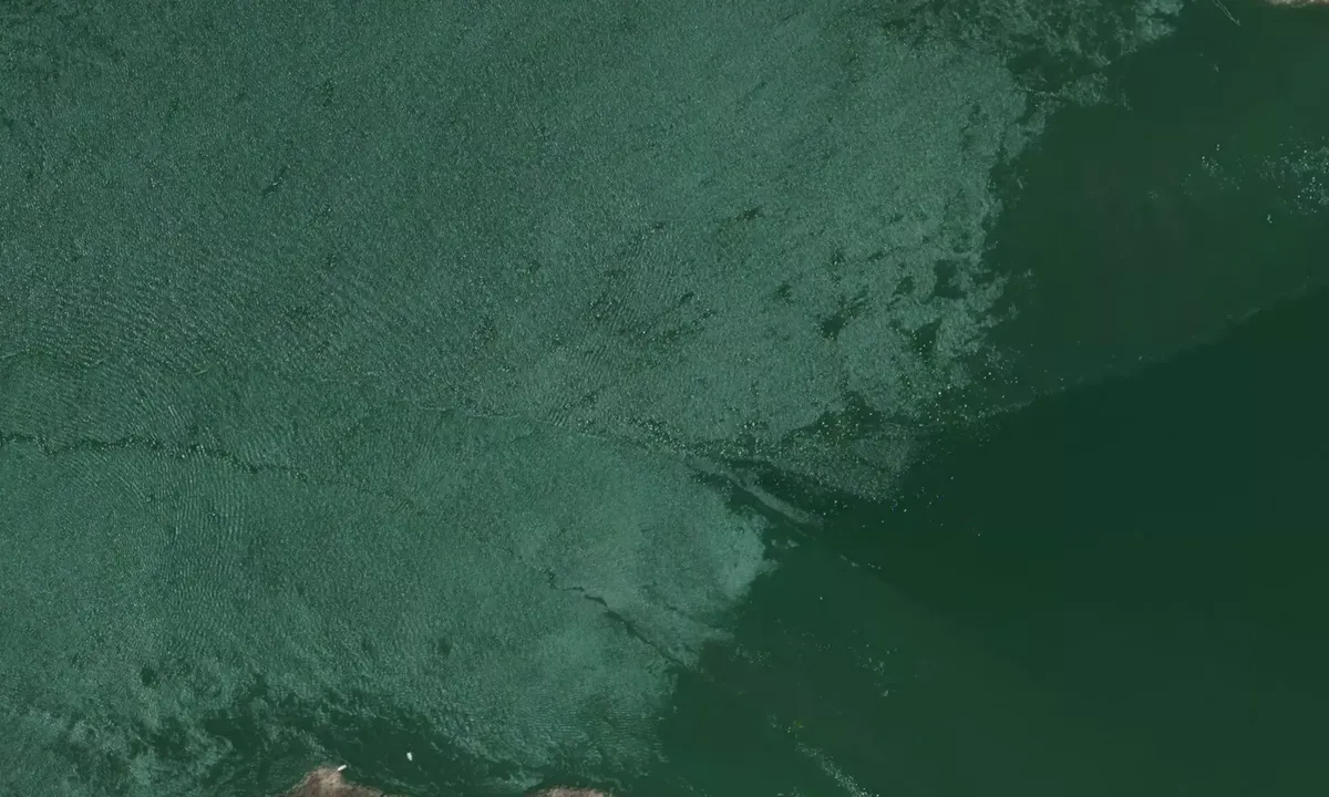 Satelite image of Topolobampo