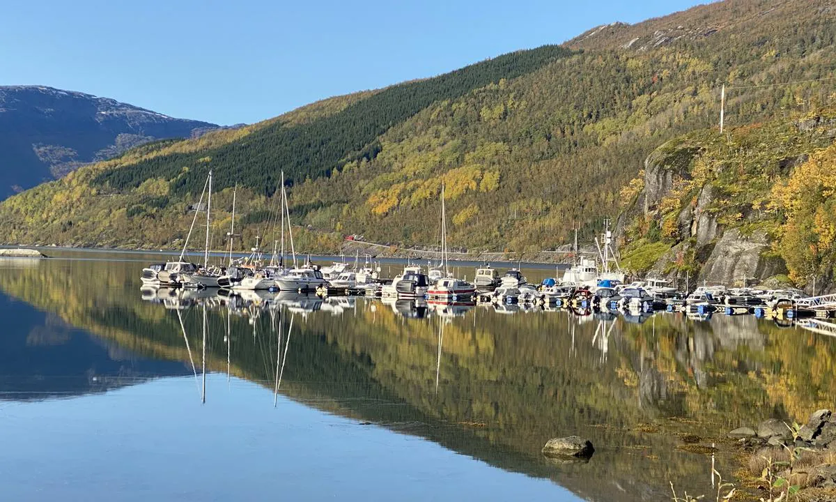 Tørfjord: {"base": "no", "no": "T\u00f8rfjord b\u00e5tforening sett fra E6.", "se": "T\u00f8rfjord b\u00e5tklubb sett fr\u00e5n E6.", "en": "T\u00f8rfjord Boat Association viewed from E6.", "da": "T\u00f8rfjord b\u00e5deforening set fra E6."}