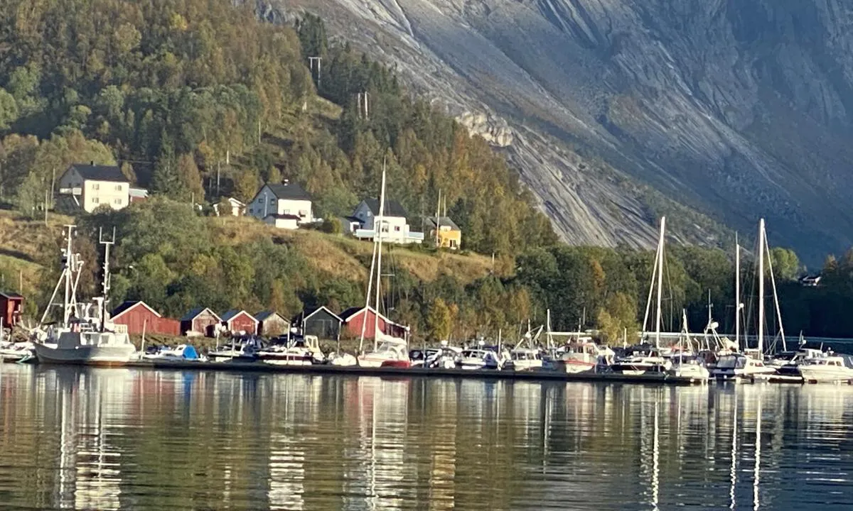 Tørfjord: {"base": "no", "no": "Innseiling til havna. .", "se": "Insegling till hamnen.", "en": "Entering the harbor.", "da": "Indsejling til havnen."}
