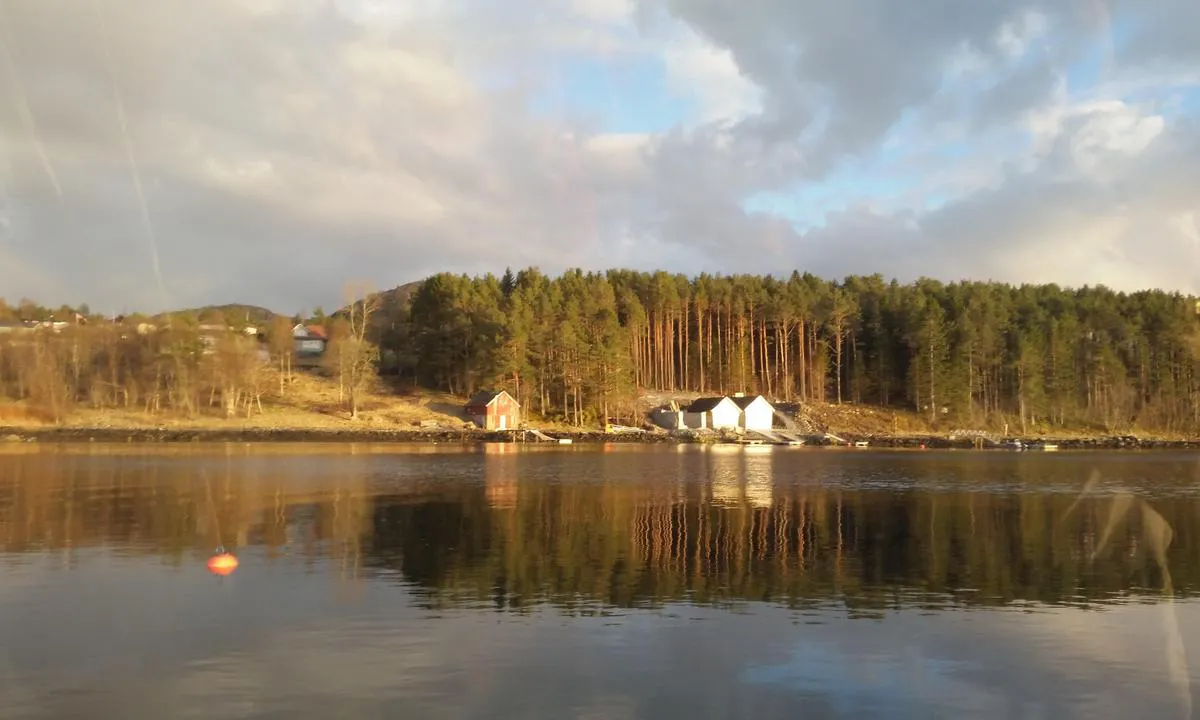 Naust i Tørlavågen.