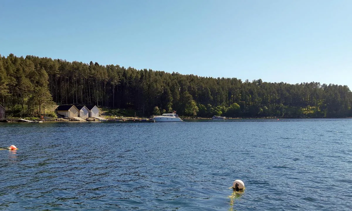 Oppankret i Tørlavågen.