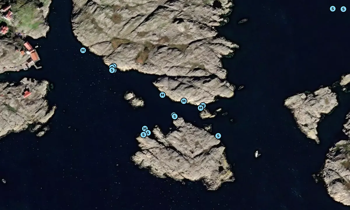 Satelite image of Tornholmeskär
