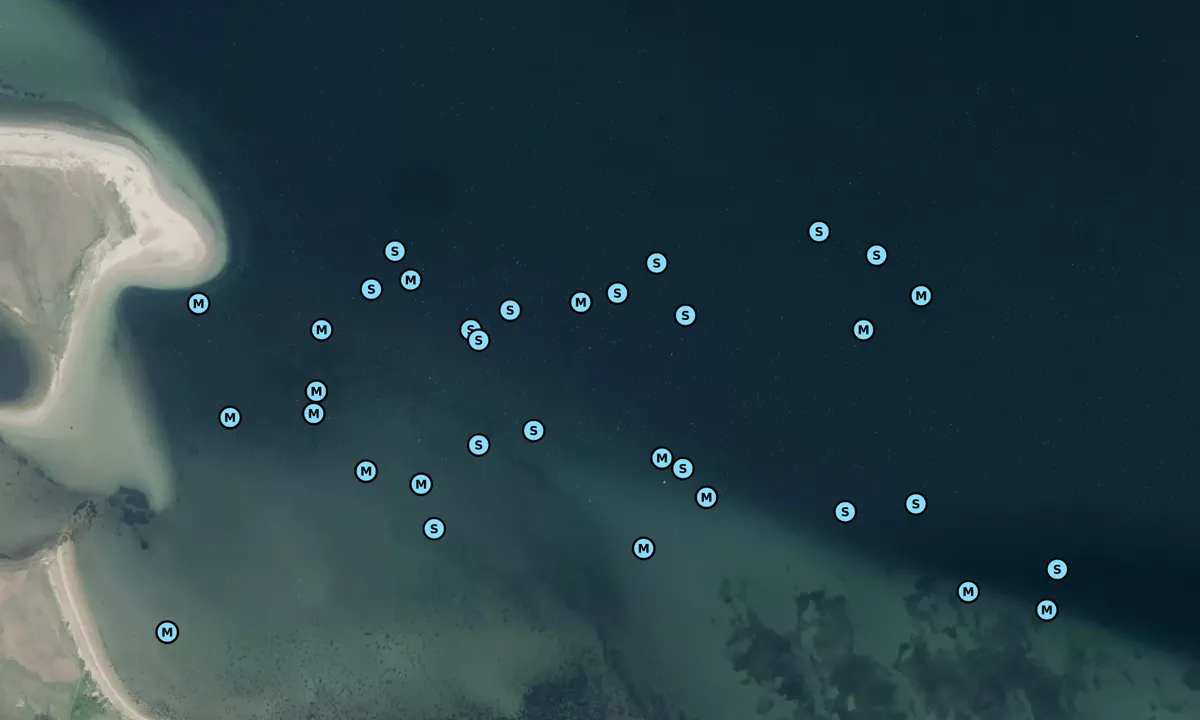 Satelite image of Torø bouy