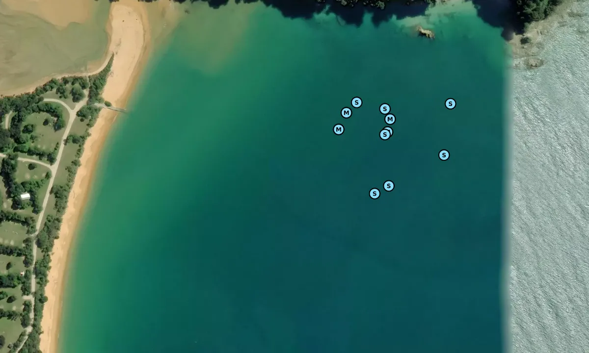 Satelite image of Totaranui Bay
