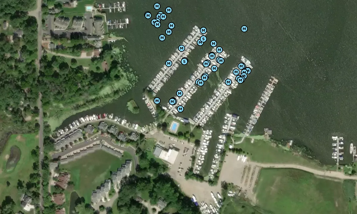Satelite image of Tower Marine - Allegan
