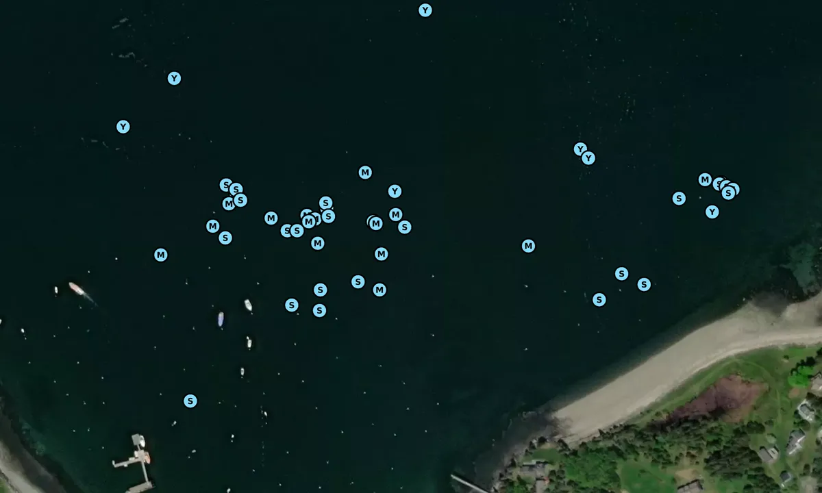Satelite image of Town moorings