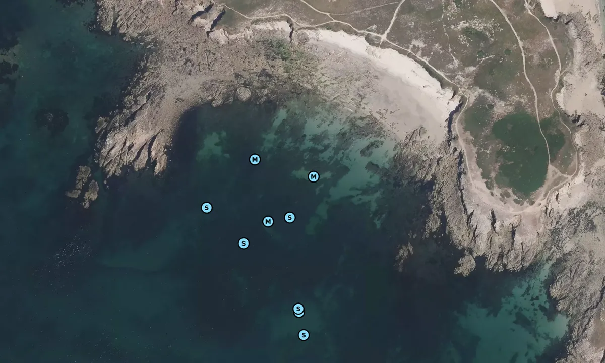 Satelite image of Tréac'h er Baron