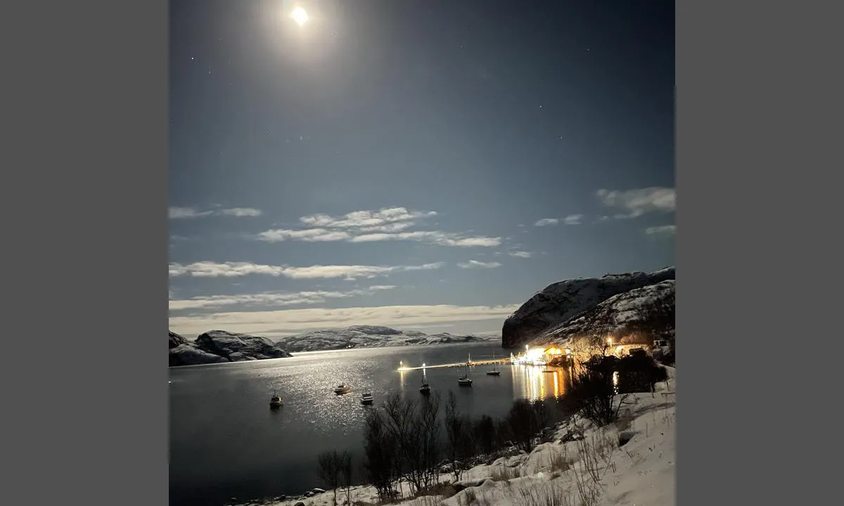 {"base": "no", "no": "Trollbukt i m\u00e5neskinn.", "se": "Trollviken i m\u00e5nsken.", "en": "Troll Bay in moonlight.", "da": "Trollbugt i m\u00e5neskin."}